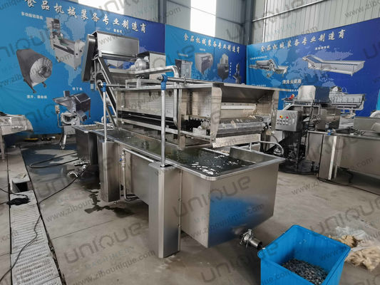 Ligne de lavage à bulles de légumes à feuilles de 850 kg de capacité pour la production d'usines de fabrication