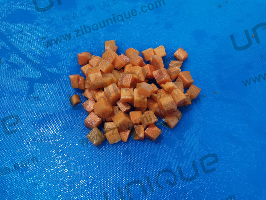 Acier inoxydable 304 machine de découpe de pommes de terre de racine légumes machines de coupe de légumes trancheuse 0,75kw