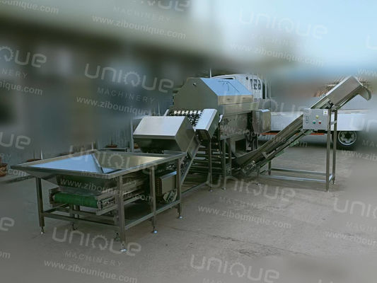 Machine à éplucher l'oignon en acier inoxydable industriel 304 avec une puissance de 3 kW et une tension de 380 V