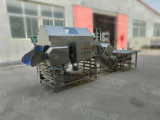 Machine à éplucher l'oignon en acier inoxydable industriel 304 avec une puissance de 3 kW et une tension de 380 V