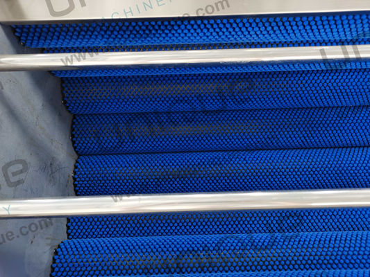 Utilisation commerciale Machine automatique de nettoyage à la brosse à dattes de palmier avec nettoyeur à la brosse doux