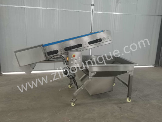 240 kg Ascenseur automatique de trempage pour fruits et légumes