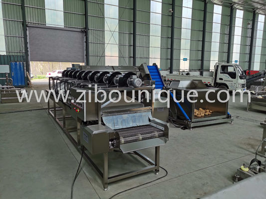 2023 Machine à séchage à vent à air chaud pour la déshydratation des fruits et légumes