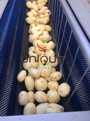 Pelleuse à pommes de terre et machine à laver les carottes de qualité commerciale avec tension personnalisable
