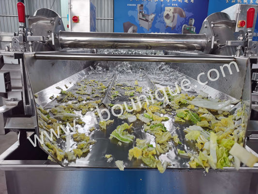 Machine à laver le chou en acier inoxydable de 4,4 kW pour la stérilisation des légumes et des salades