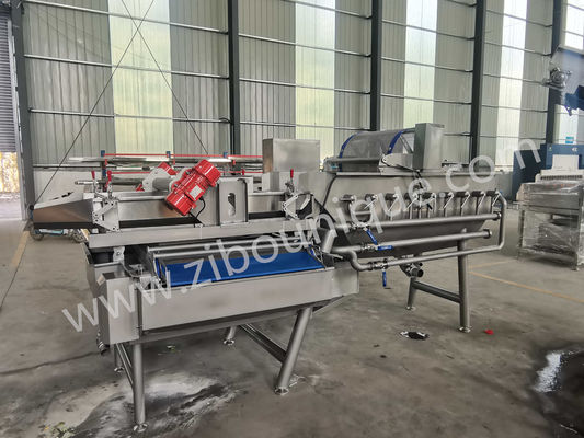 Machine à laver le chou en acier inoxydable de 4,4 kW pour la stérilisation des légumes et des salades