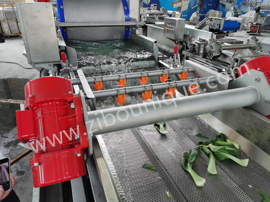 Machine à laver le chou en acier inoxydable de 4,4 kW pour la stérilisation des légumes et des salades