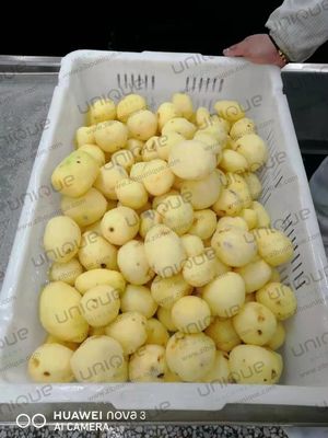 Machine de lavage et de pellicule de pommes de terre à tension personnalisée pour les industries de transformation alimentaire