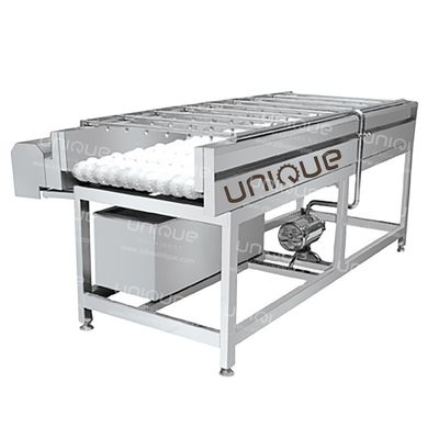 Machine de nettoyage à la brosse de mangue pour les poires, les pommes, les carottes et la boue 3000*1250*1350 mm