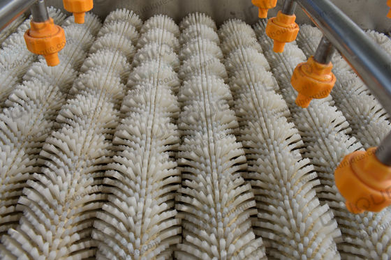 Machine de nettoyage à la brosse de mangue pour les poires, les pommes, les carottes et la boue 3000*1250*1350 mm