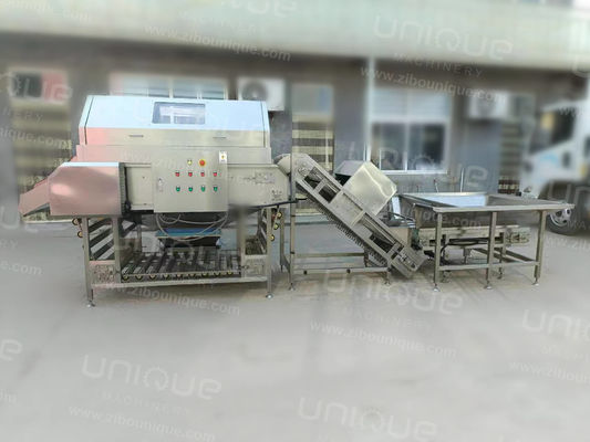 Machine à éplucher les oignons pour les légumes-racines