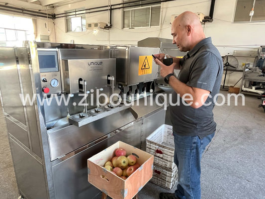 Pelleuse électrique à épluchage rapide pour les fruits parfaitement préparés