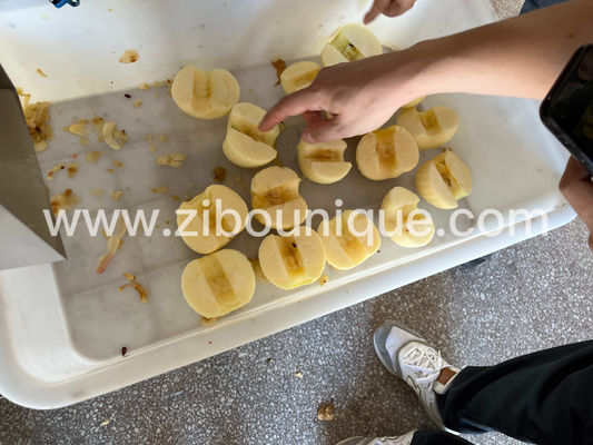 Support technique vidéo et électrique pour la machine à découper les pommes