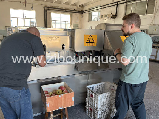 Simplifiez la préparation de vos fruits avec notre machine automatique de découpage de pommes