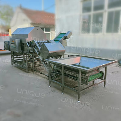 Appareil de pellicule des oignons de petite à grande taille Appareil de pellicule des oignons 4970*1510*1813 mm 3 kw