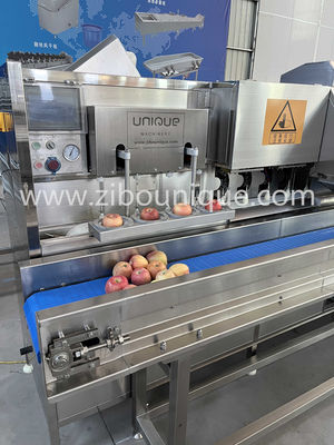 Voltage personnalisé 304 en acier inoxydable pomme et poire éplucheuse et machine de découpe de noyau