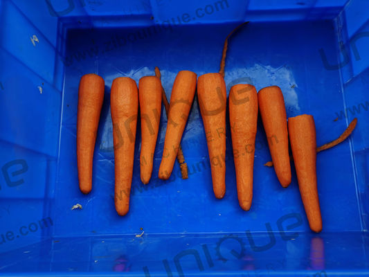 Machine à éplucher en acier inoxydable 304 pour les légumes-racines comme les carottes et les radis