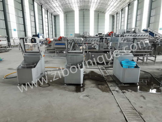 Machine de séchage de fruits et légumes commerciaux avancée pour les légumes racines