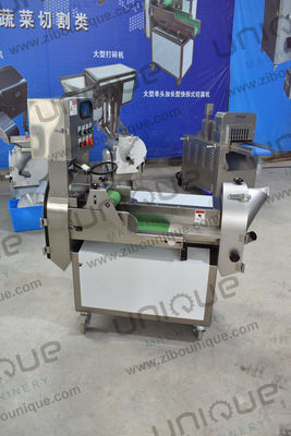Machine à trancher des fruits et légumes à feuilles très polyvalente à 220v/tension personnalisée