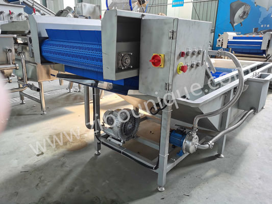 1000-1500 kg/h Capacité Machine à laver les feuilles de légumes et les salades pour les fruits et légumes