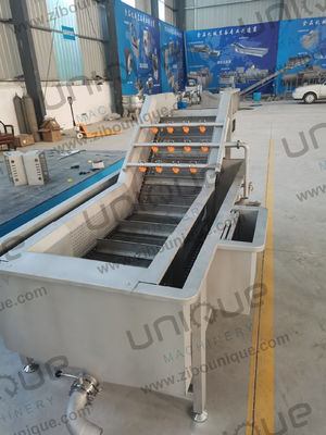 RQF Ligne de production d'aliments surgelés lavage stérilisation et congélation en une seule solution