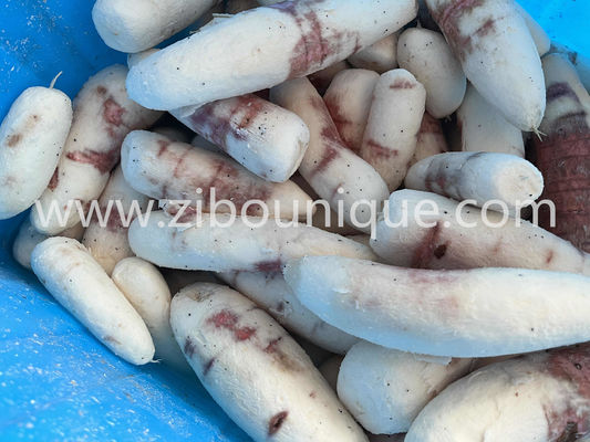 Machine à éplucher le manioc pour une ligne continue de dépouillage des légumes-racines dans les grands magasins alimentaires