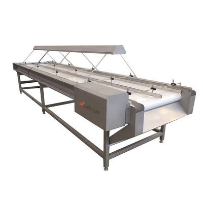 2021 Convecteur de sélection de légumes et de fruits Convecteur de tri avec lampe
