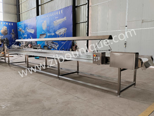 2021 Convecteur de sélection de légumes et de fruits Convecteur de tri avec lampe