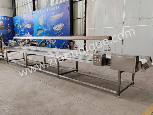 2021 Convecteur de sélection de légumes et de fruits Convecteur de tri avec lampe