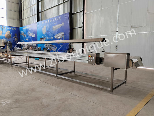 2021 Convecteur de sélection de légumes et de fruits Convecteur de tri avec lampe